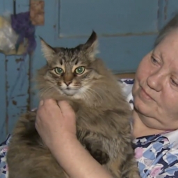 Bezdomna kotka znalazła porzucone dziecko, to co zrobiła porusza